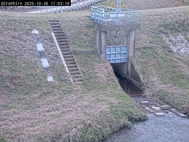 最新監視カメラ画像