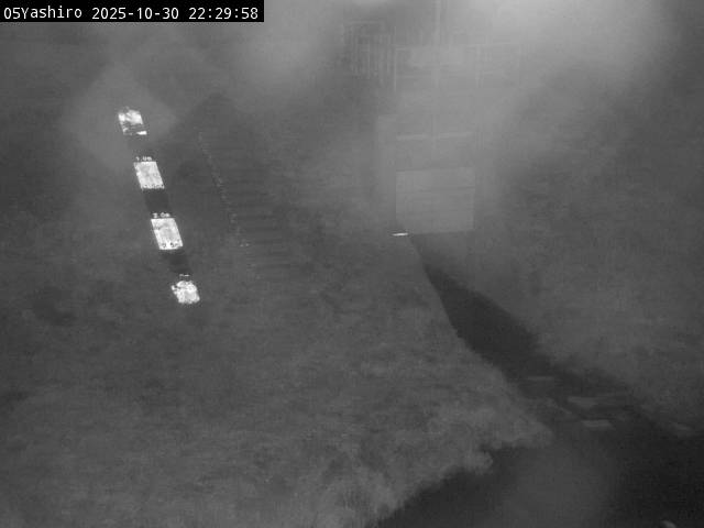 最新監視カメラ画像