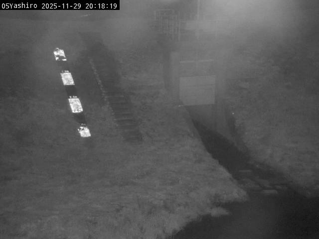 最新監視カメラ画像