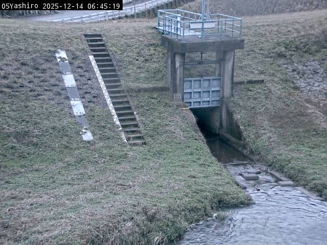 最新監視カメラ画像