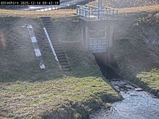 最新監視カメラ画像