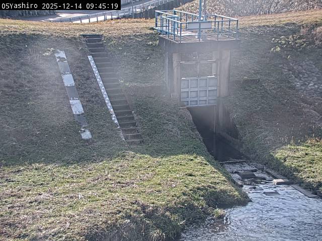 最新監視カメラ画像