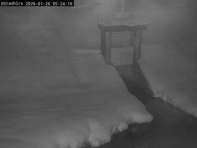 最新監視カメラ画像