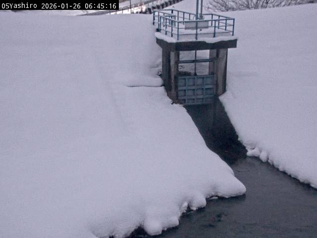 最新監視カメラ画像