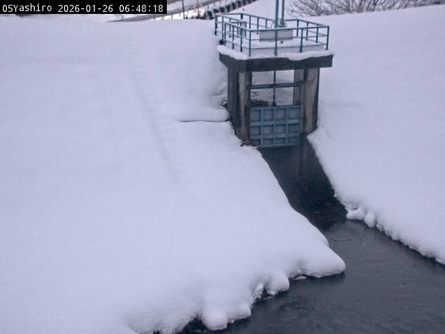 最新監視カメラ画像