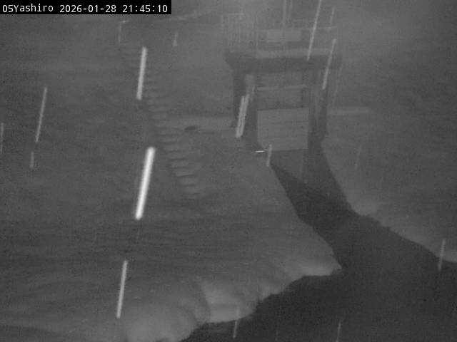 最新監視カメラ画像