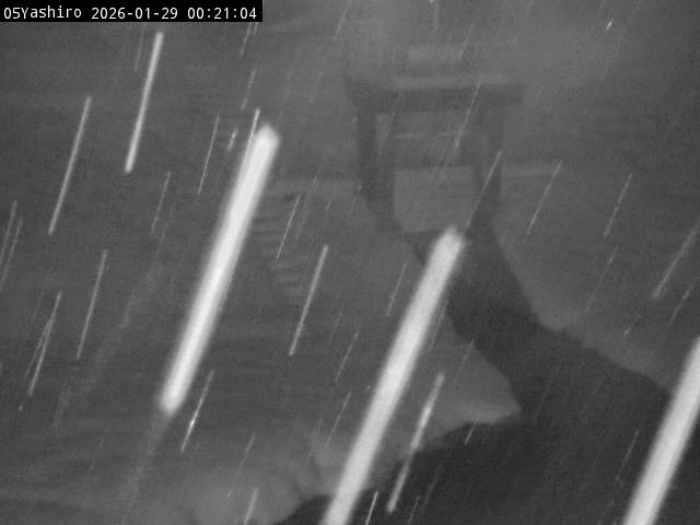 最新監視カメラ画像