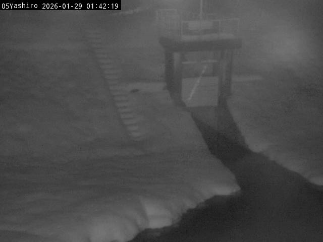 最新監視カメラ画像