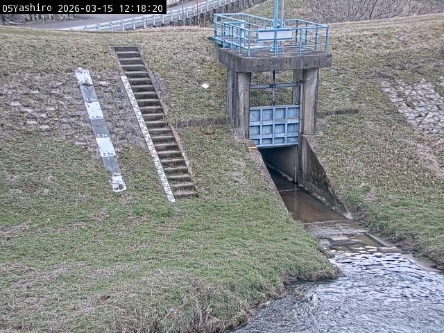 最新監視カメラ画像