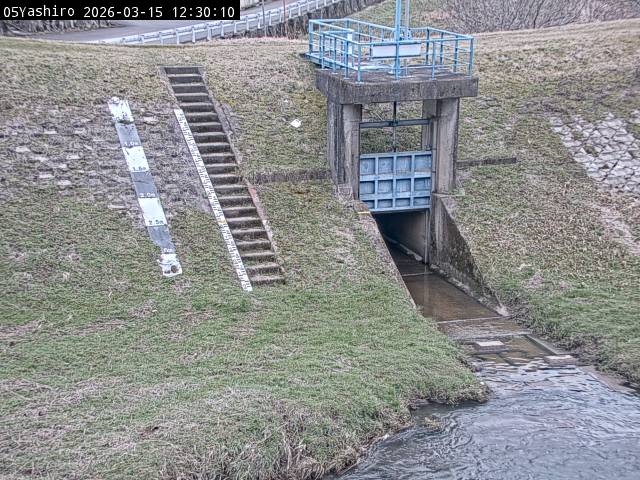 最新監視カメラ画像