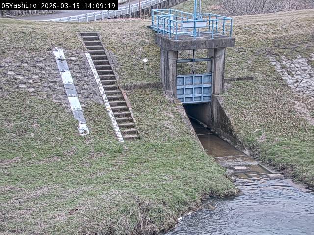 最新監視カメラ画像