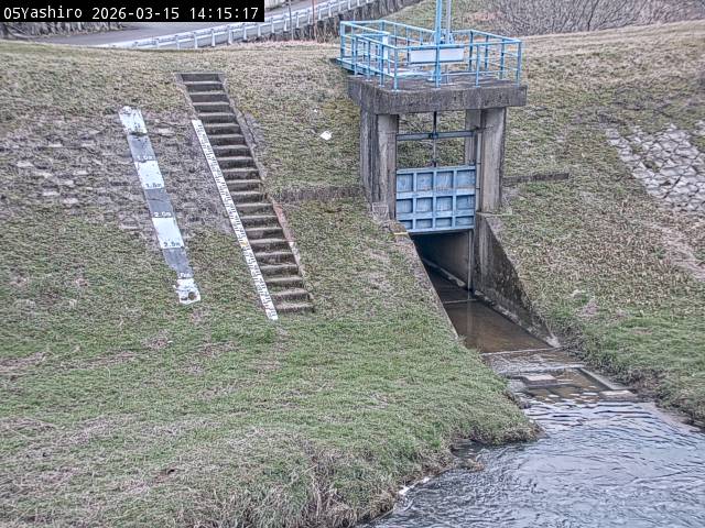 最新監視カメラ画像