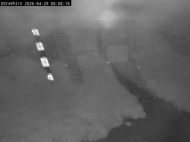 最新監視カメラ画像