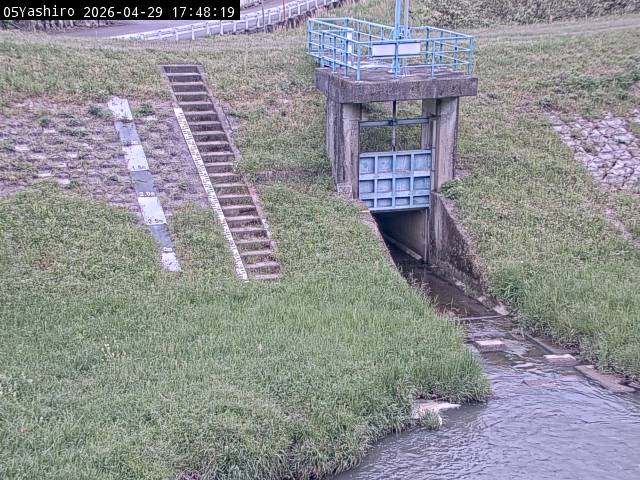 最新監視カメラ画像