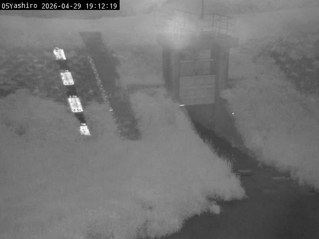 最新監視カメラ画像