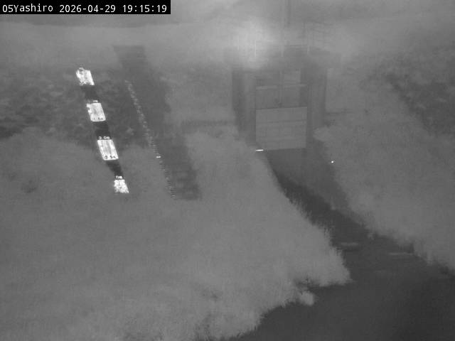 最新監視カメラ画像