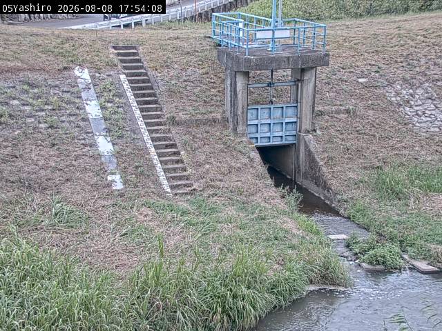 20260808175408